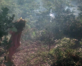 I Don't Ragret Seeing Julia Louis-Dreyfus Half Naked In "Troll" - Film nackt