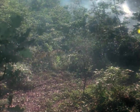 I Don't Ragret Seeing Julia Louis-Dreyfus Half Naked In "Troll" - Film nackt