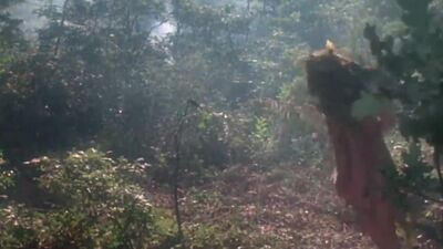 I Don't Ragret Seeing Julia Louis-Dreyfus Half Naked In "Troll" - Film nackt