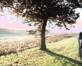 Alexandra Daddario sexy - Bereavement