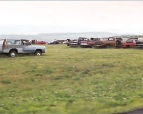 Alexandra Daddario sexy - Bereavement