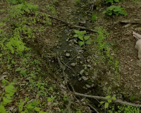 Kristen Pizycki nude