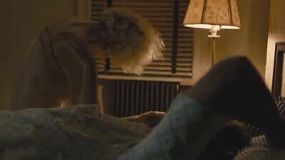 Maggie Gyllenhaal In Deuce - Film nackt