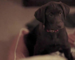 Diora Baird - Casual - S01E03 - Film nackt