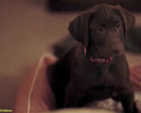 Diora Baird - Casual - S01E03 - Film nackt