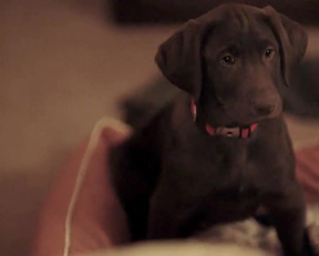 Diora Baird - Casual - S01E03 - Film nackt