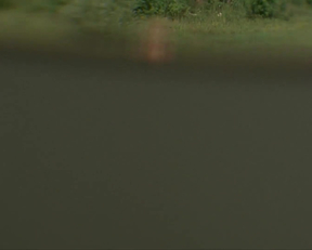 Roxanne Pallett In Lake Placid 3 - Film nackt