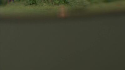 Roxanne Pallett In Lake Placid 3 - Film nackt