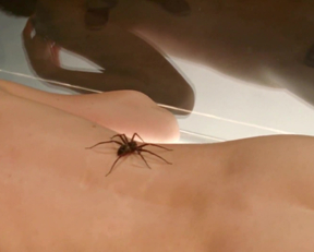 Natasha Romanova In Most Beautiful Island - Film nackt