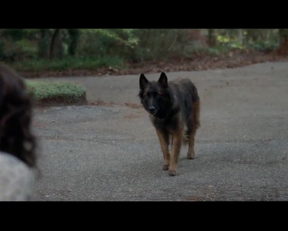 Carla Gugino Downblouse Feeding The Dog Plot From Gerald's Game - Film nackt