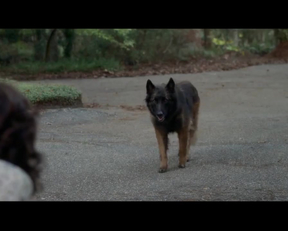 Carla Gugino Downblouse Feeding The Dog Plot From Gerald's Game - Film nackt