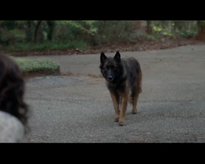 Carla Gugino Downblouse Feeding The Dog Plot From Gerald's Game - Film nackt