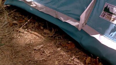 Stacie Lambert - Sleepaway Camp III Teenage Wasteland - Film nackt