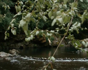 Amber Heard In The River Why - Film nackt