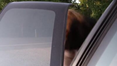 Lauren Schneider Topless In Creature - Film nackt