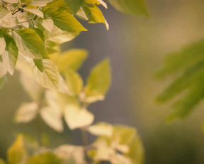 Violetta Beane, Katy Harris,  Jasmin Savoy Brown Naked Running Plot On The Leftovers - Film nackt