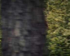 Violetta Beane, Katy Harris,  Jasmin Savoy Brown Naked Running Plot On The Leftovers - Film nackt