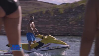 I Watch UFC Vlogs To Better Appreciate Miesha Tate's Back Plot - Film nackt