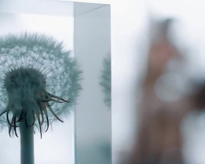 Eva Lobau - Einsamkeit Und Sex Und Mitleid 2017 - Film nackt