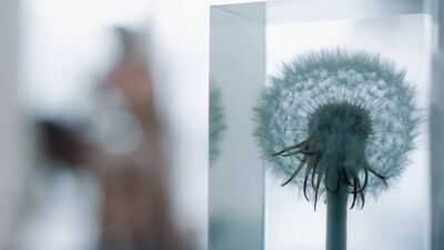 Eva Lobau - Einsamkeit Und Sex Und Mitleid 2017 - Film nackt