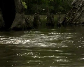 Jennifer Lynn Warren Fully Nude In Creature - Film nackt