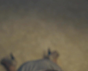 Lyubov Novikova - Rasskazy - Film nackt