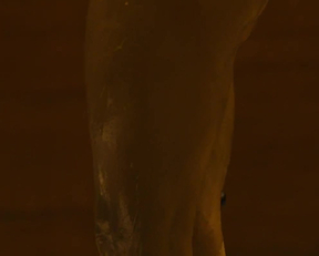 Sallie Harmsen-Blade Runner 2049 - Film nackt