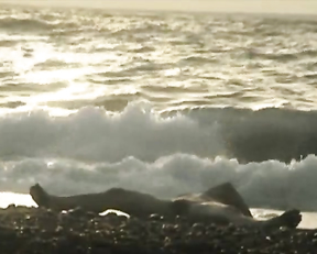 Tatjana Lommel, Janna Lisa Dombrowsky - Reise nach Agatis (2010)