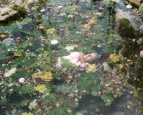 Montserrat Rojals naked - Totes les histories (2019)