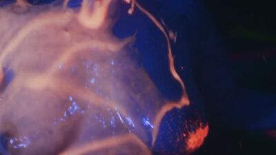 Lanisa Dawn, Brittany Drisdelle, Madeline Harvey, Samantha Hodhod - Aquaslash (2019)
