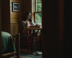 Aubrey Plaza, Lindsay Burdge - Black Bear (2020)