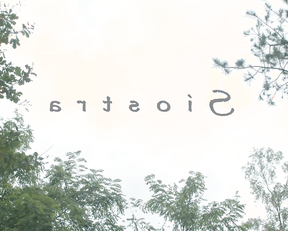 Patrycja Karolak nude - Siostra (2020)