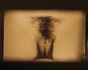 Leslie Hope, Kristin Lehman - Lie Exposed (2020)