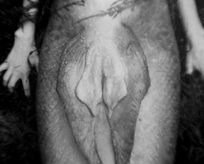 Valeriia Karaman nude - The Lighthouse (2019)