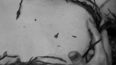 Valeriia Karaman nude - The Lighthouse (2019)