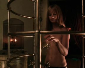 Cameron Richardson, Samaire Armstrong, Carla Gugino, Lucy Liu - Rise Blood Hunter (2007)