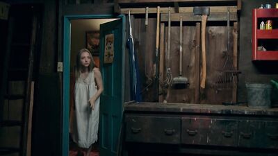 Amanda Seyfried, Natalia Dyer - Things Heard  Seen (2021)