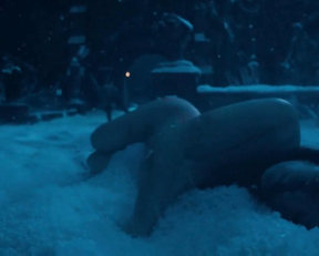 Freya Allan, Agnes Born, Anya Chalotra - The Witcher s02e01e03 (2021)