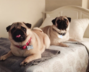 Maria Bamford naked - Lady Dynamite s02e01 (2017)