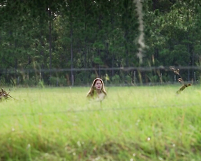 Gina Philips nude - Jeepers Creepers (2001)