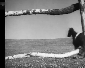 Hedy Lamarr nude - Ecstasy 1932