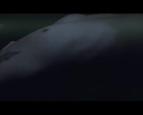 Maya Hawke nude - Thérese (2022)