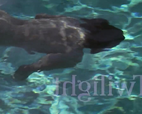 Susan Sarandon nude – Twilight (1998)