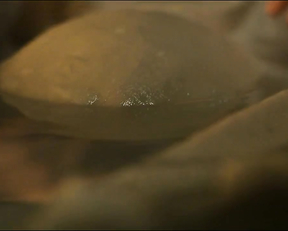 Saoirse Ronan nude - Mary Queen of Scots (2018)