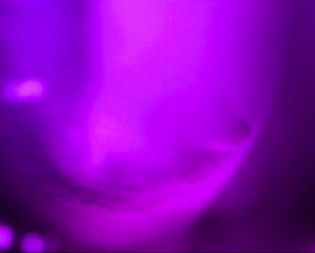 Sarah Shahi nude – SexLife s01 (2021)