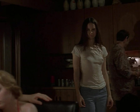 Katherine Waterston nude - The Babysitters (2007)
