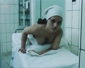 Alena Mihulova naked - Dzusovy roman (1984)