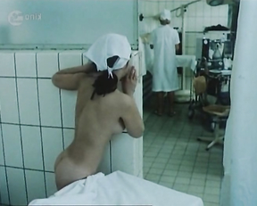 Alena Mihulova naked - Dzusovy roman (1984)