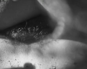 Elina Lowensohn nude - Boro in the Box (2011)