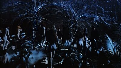 Carla Gravina, Anita Strindberg – The Antichrist (1974)